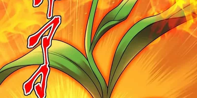 Đại Hiền Nhân Ma Thuật Cấp 99990000 - Chương 143 - ảnh 169