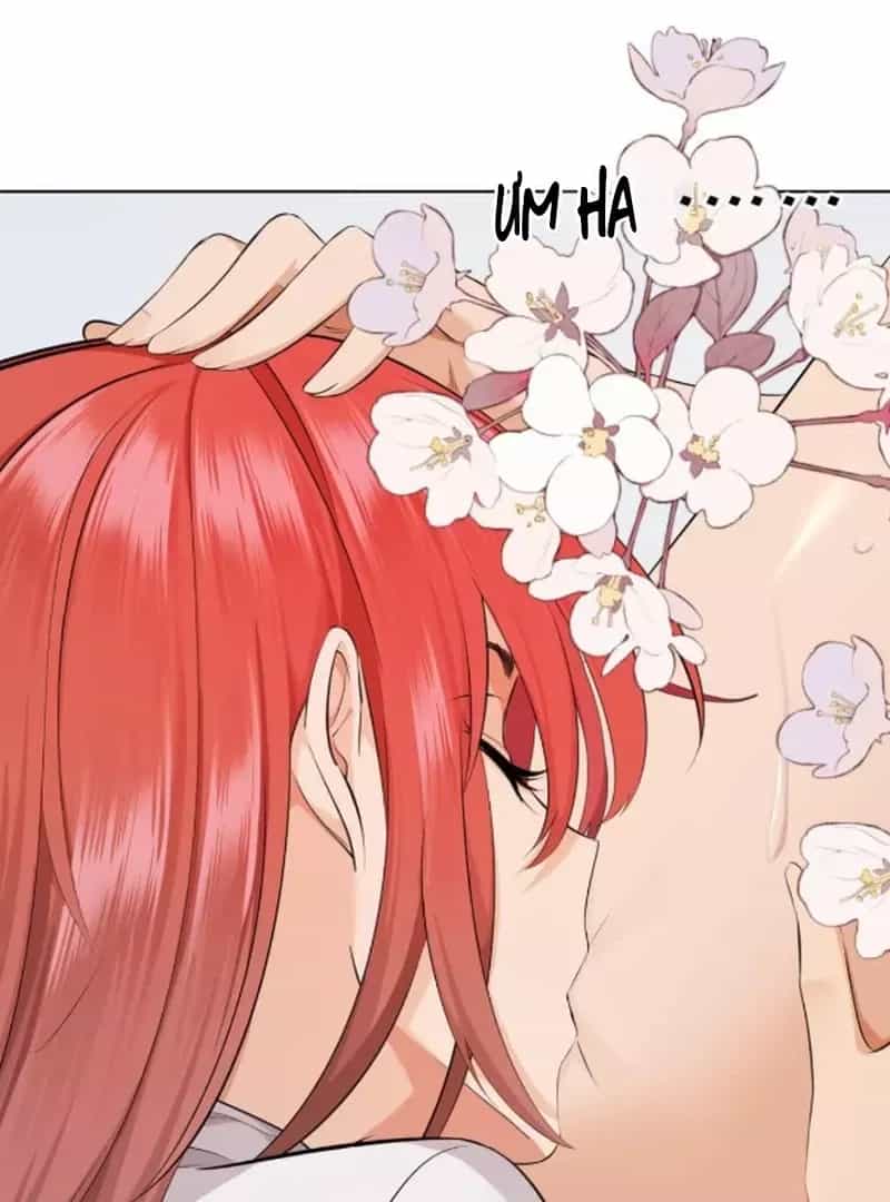 Đại Lão, Đầu Cô Lại Rớt Rồi Kìa! - Chương 17 - ảnh 13