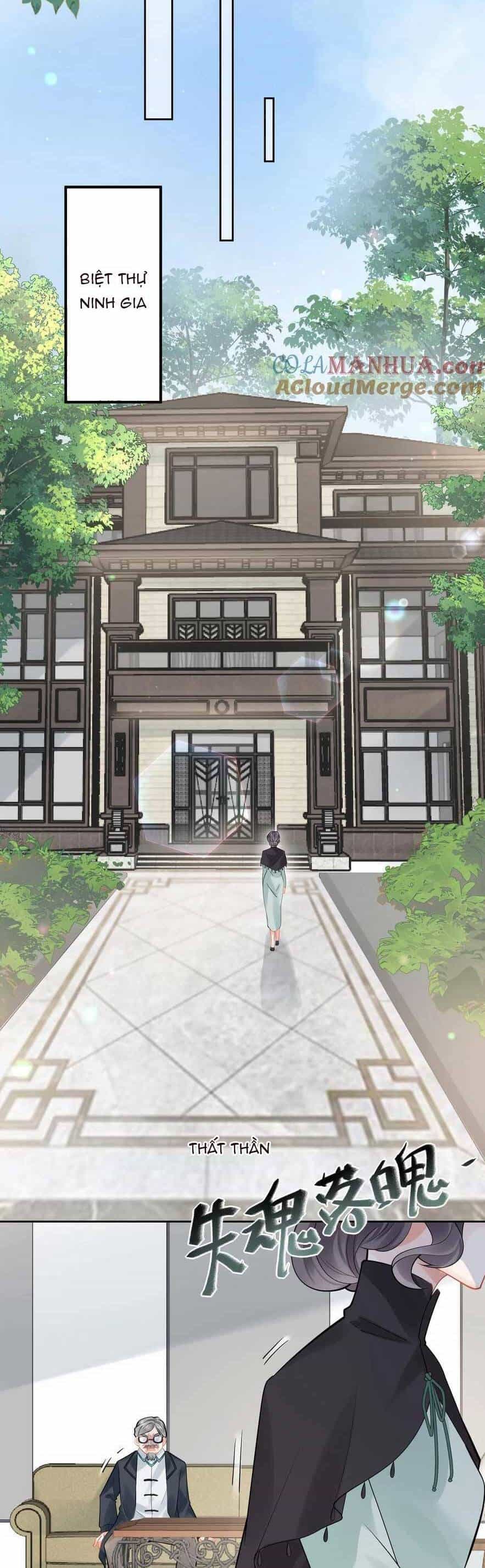 Đại Lão Huyền Học Xuống Núi Khuấy Động Cả Thế Giới - Chương 175 - ảnh 11