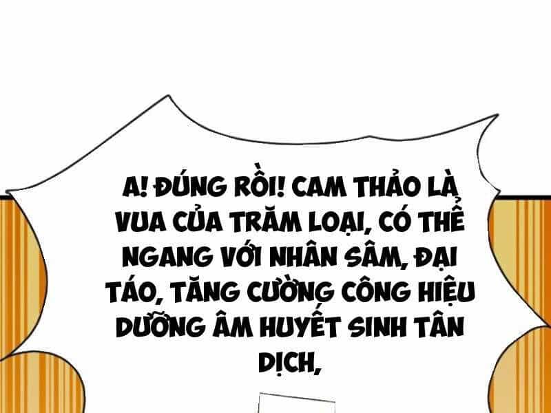 Đại Lão Xuống Núi: Bắt Đầu Từ Việc Trở Thành Thư Ký - Chương 27 - ảnh 81