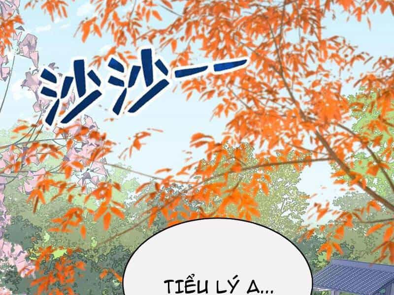 Đại Lão Xuống Núi: Bắt Đầu Từ Việc Trở Thành Thư Ký - Chương 28 - ảnh 41