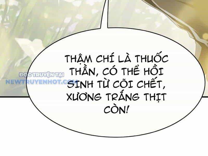 Đại Lão Xuống Núi: Bắt Đầu Từ Việc Trở Thành Thư Ký - Chương 54 - ảnh 17