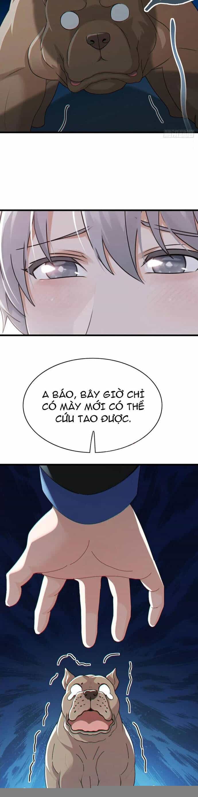 Đại Lão Xuống Núi: Bắt Đầu Từ Việc Trở Thành Thư Ký - Chương 100 - ảnh 16