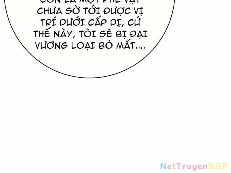 Đại Liên Minh Phản Xuyên Việt Của Bạo Quân - Chương 75 - ảnh 15