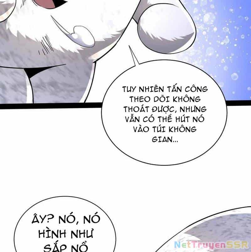 Đại Liên Minh Phản Xuyên Việt Của Bạo Quân - Chương 82 - ảnh 47