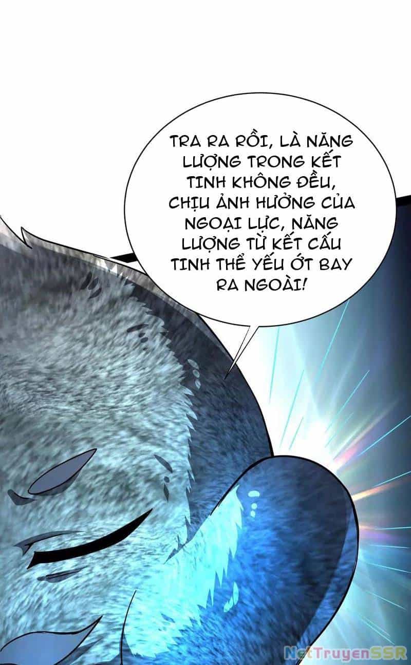 Đại Liên Minh Phản Xuyên Việt Của Bạo Quân - Chương 84 - ảnh 46