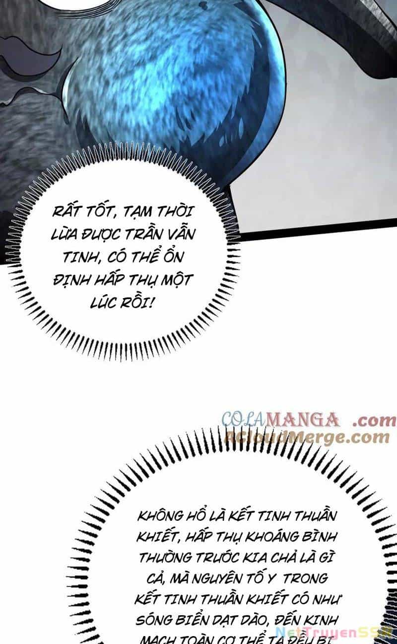 Đại Liên Minh Phản Xuyên Việt Của Bạo Quân - Chương 84 - ảnh 50