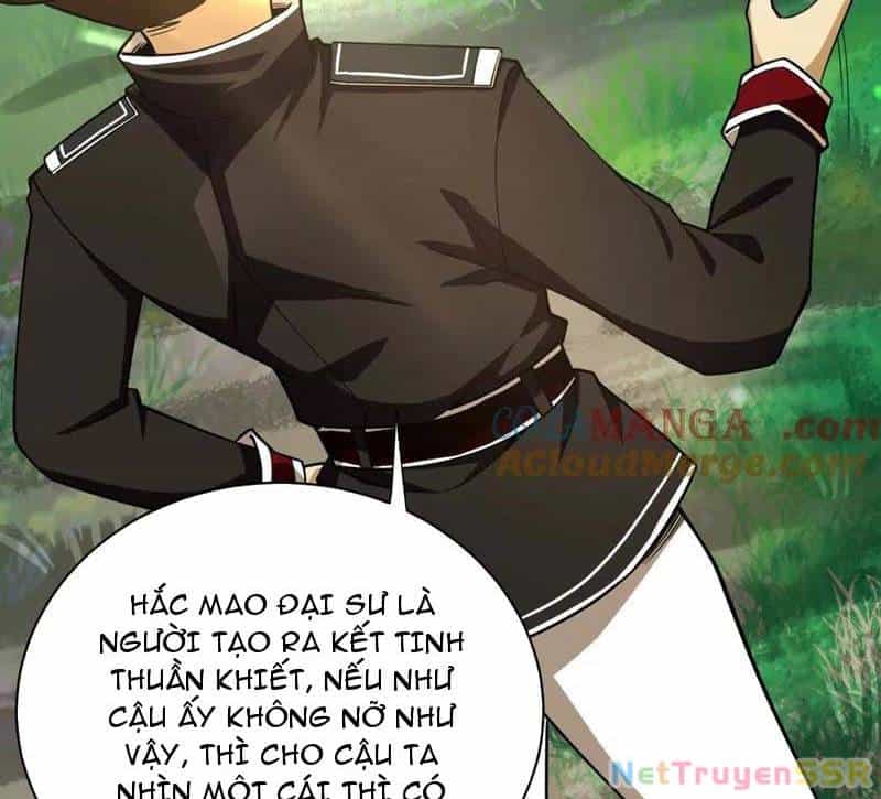 Đại Liên Minh Phản Xuyên Việt Của Bạo Quân - Chương 86 - ảnh 13