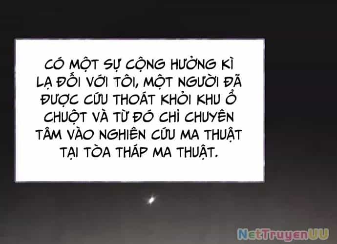 Đại Pháp Sư Của Tổ Đội Hồi Quy - Chương 0 - ảnh 122