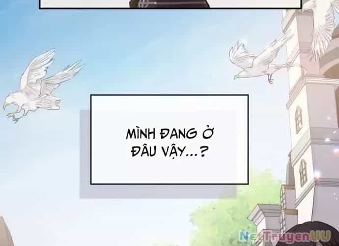 Đại Pháp Sư Của Tổ Đội Hồi Quy - Chương 0 - ảnh 348