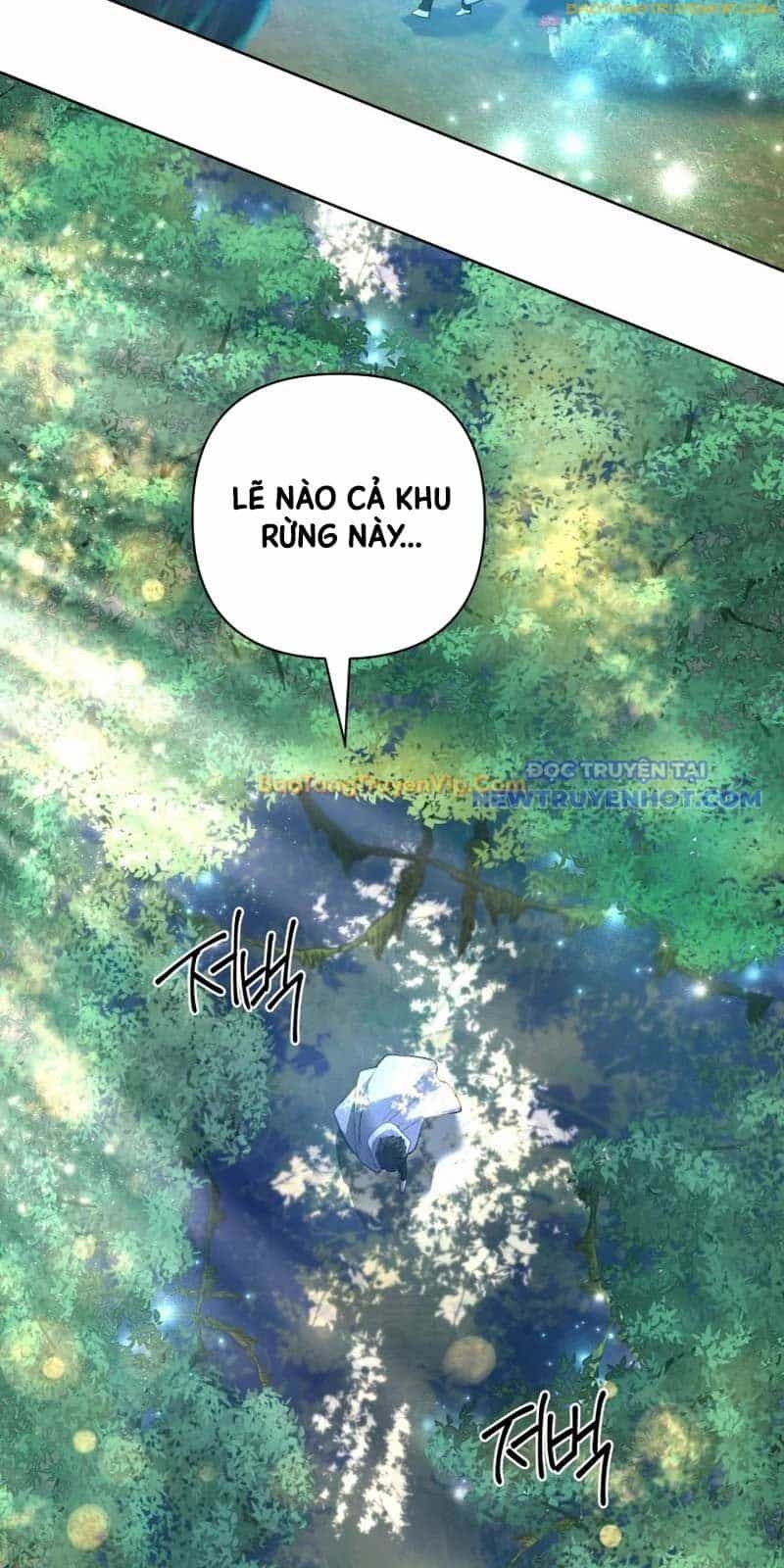 Đại Pháp Sư Thần Thoại Tái Lâm - Chương 39 - ảnh 49