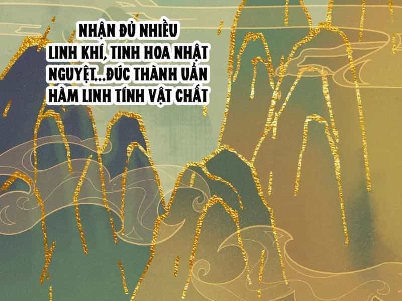 Đại Thừa Kỳ Mới Có Nghịch Tập Hệ Thống - Chương 23 - ảnh 88