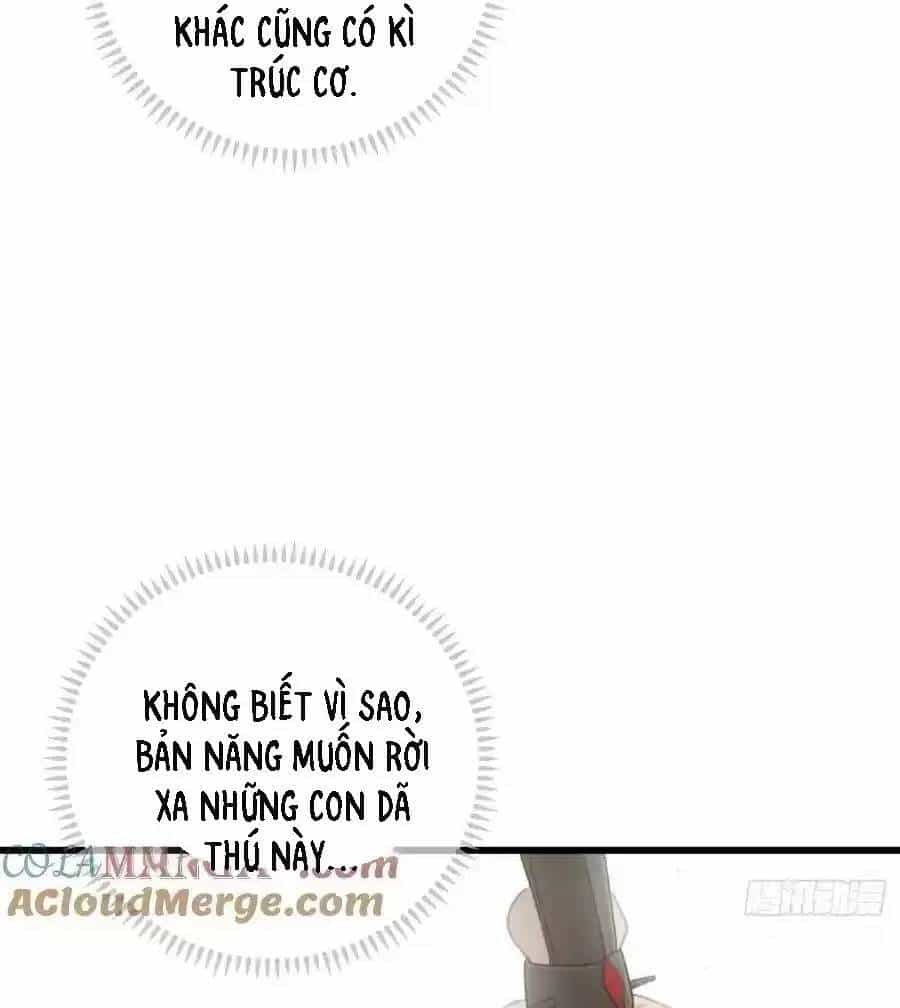 Đại Thừa Kỳ Mới Có Nghịch Tập Hệ Thống - Chương 25.2 - ảnh 6