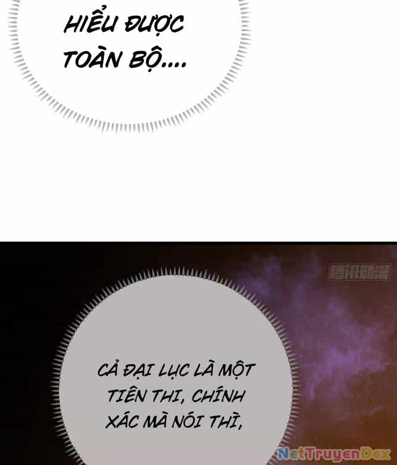 Đại Thừa Kỳ Mới Có Nghịch Tập Hệ Thống - Chương 49 - ảnh 22