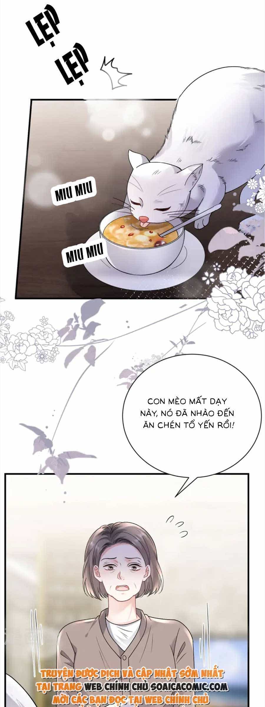 Đại Tiểu Thư Có Thể Có Cái Gì Xấu - Chương 176 - ảnh 23
