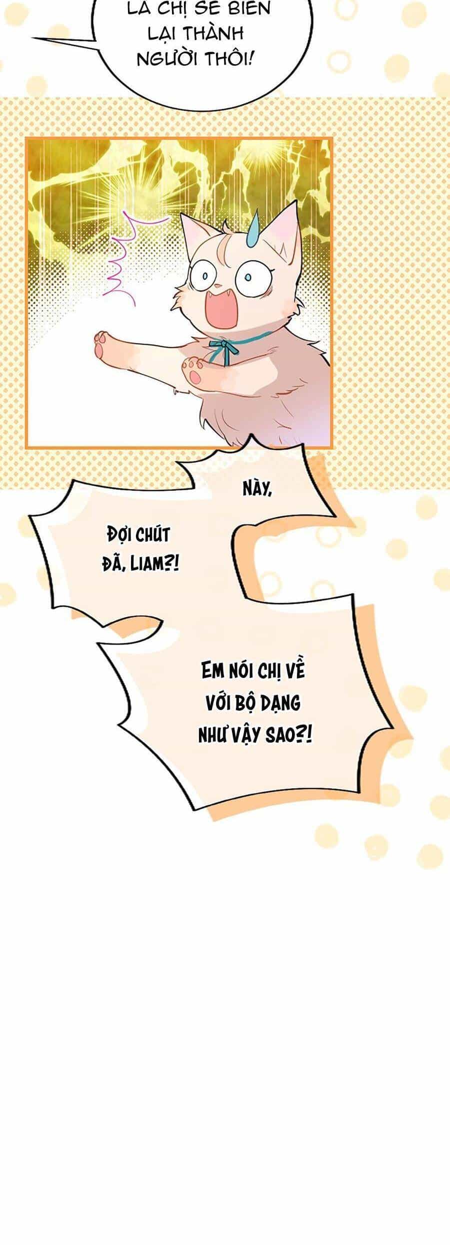 Đại Tiểu Thư Sao Phải Giả Nam - Chương 50 - ảnh 38