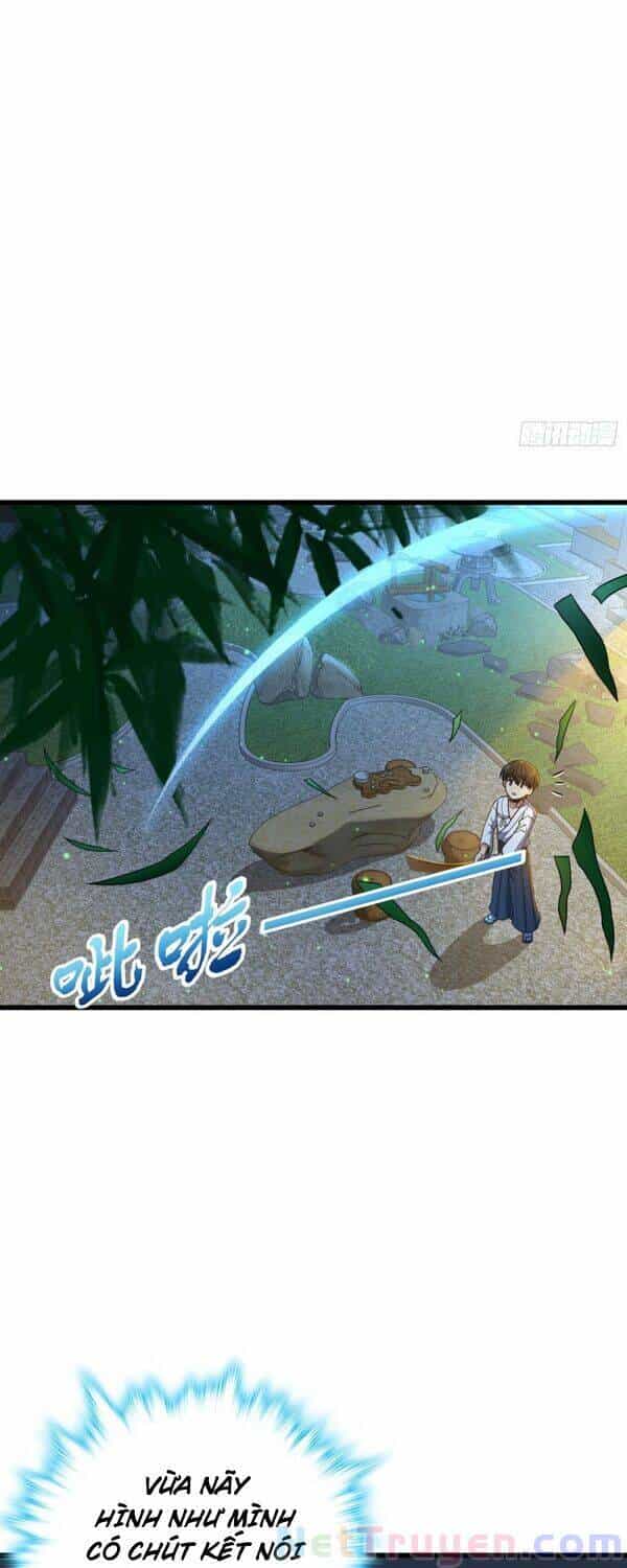 Đại Vương Tha Mạng - Chương 217 - ảnh 3