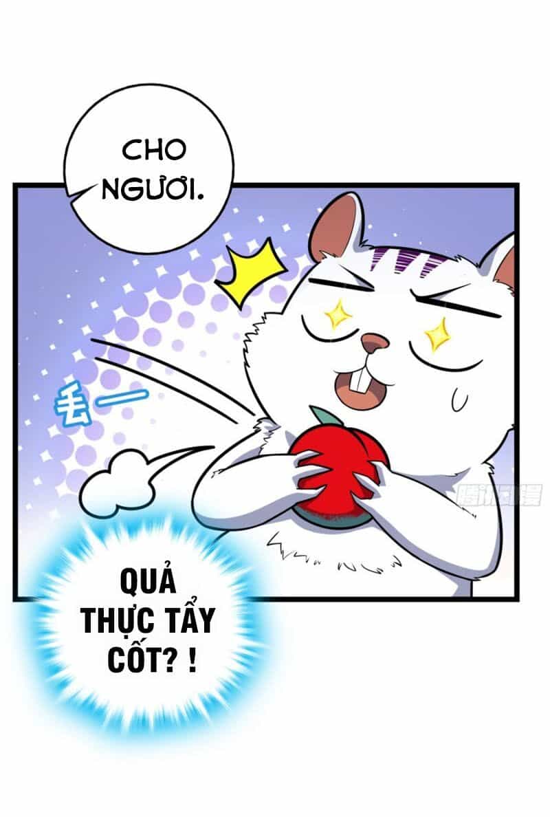 Đại Vương Tha Mạng - Chương 93 - ảnh 14