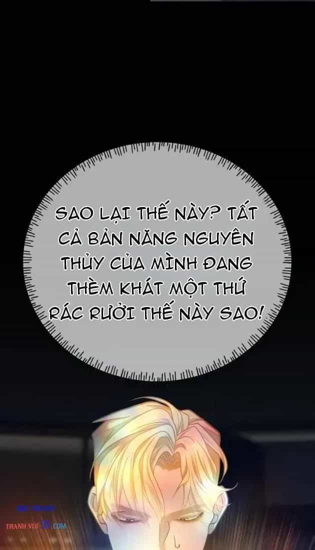 Dàn Harem Của Anh Bán Rong - Chương 46 - ảnh 68