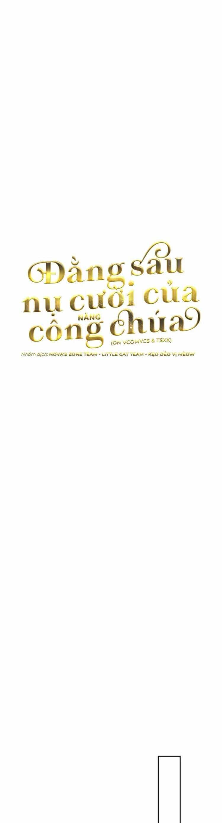 Đằng Sau Nụ Cười Của Nàng Công Chúa - Chương 39 - ảnh 9