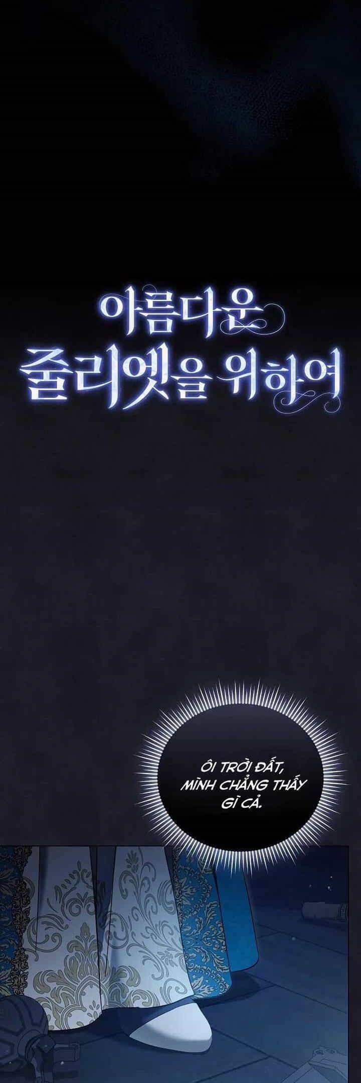 Dành Cho Nàng Juliet Xinh Đẹp - Chương 21 - ảnh 17