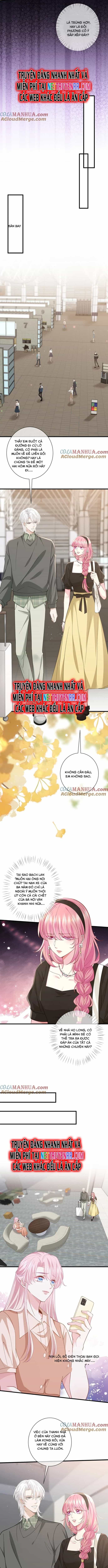 Danh Môn Chí Ái - Chương 281 - ảnh 2