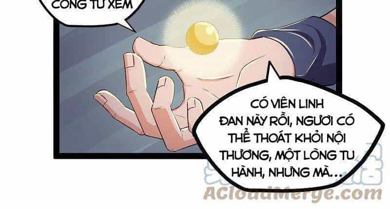 Đạp Toái Tiên Hà - Chương 252 - ảnh 10