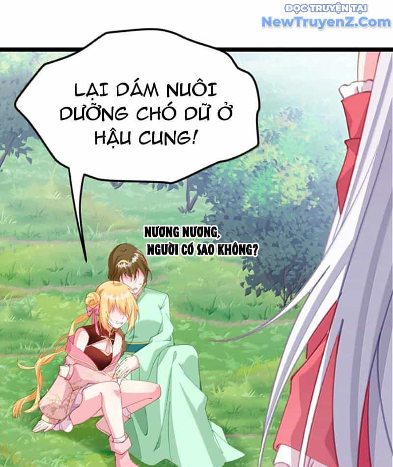 Đập Vỡ Hoàng Đế Nữ Nhi Thân - Chương 42 - ảnh 39