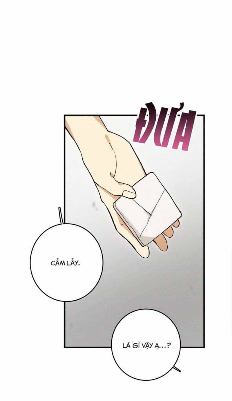 Đầu Bếp Hoàng Gia - Chương 12 - ảnh 35