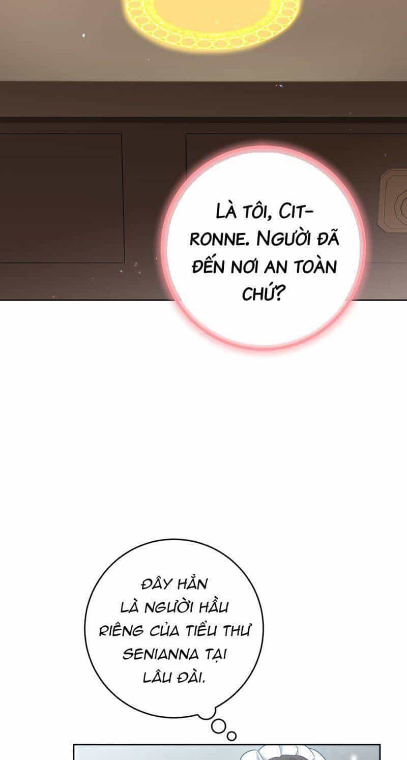 Đầu Bếp Hoàng Gia - Chương 71 - ảnh 22