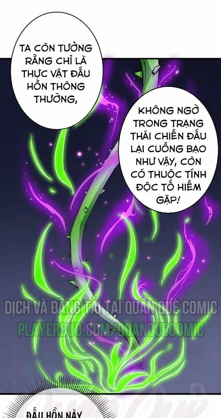 Đấu Hồn Đại Lục - Chương 11 - ảnh 14