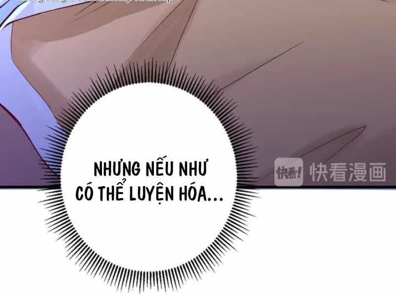 Đấu Hồn Đại Lục - Chương 39 - ảnh 14