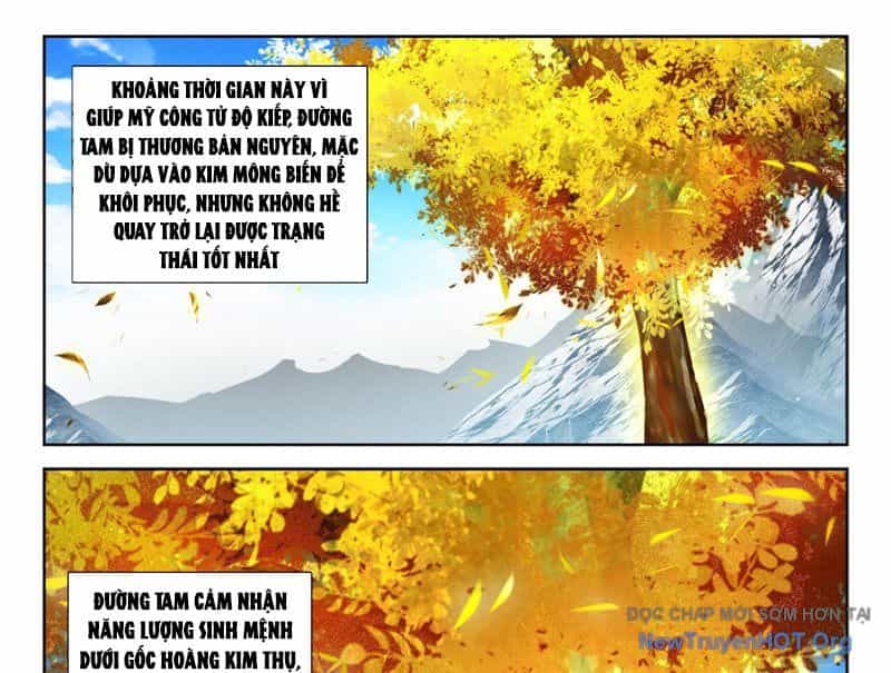 Đấu La Đại Lục 5 - Chương 251 - ảnh 4