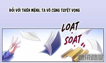 Đầu Óc Đại Sư Huynh Của Ta Rất Đen Tối - Chương 130 - ảnh 6