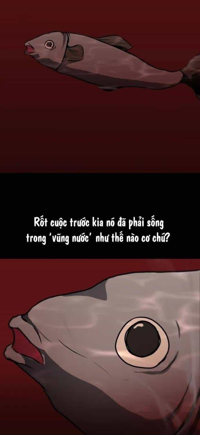 Đấu Sĩ Xác Sống - Chương 37 - ảnh 45