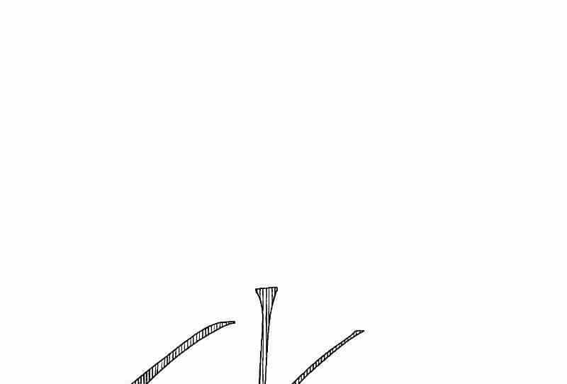 Đấu Trường Sinh Tử - Chương 113 - ảnh 62