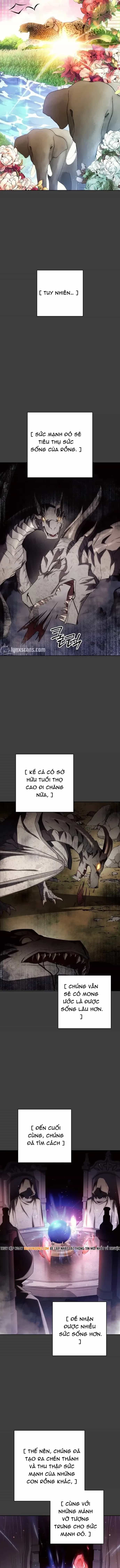 Đấu Trường Sinh Tử - Chương 168 - ảnh 6