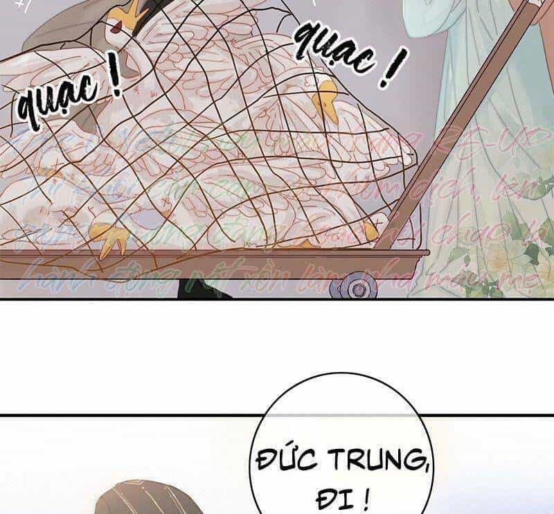 Đề Đốc Tự Ta Tu Dưỡng - Chương 11 - ảnh 16
