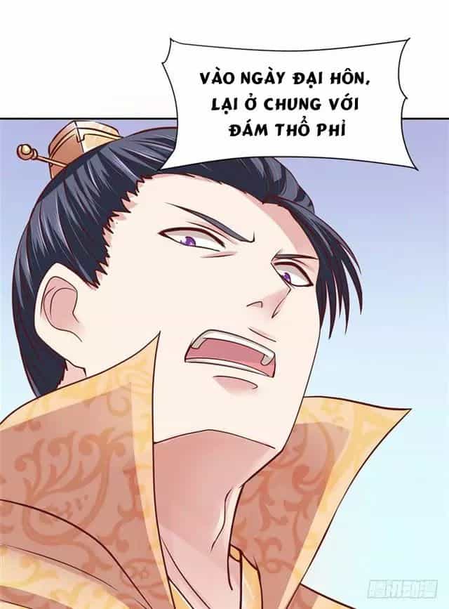 Đế Hoàng Chi Thần Y Khí Phi - Chương 0 - ảnh 9