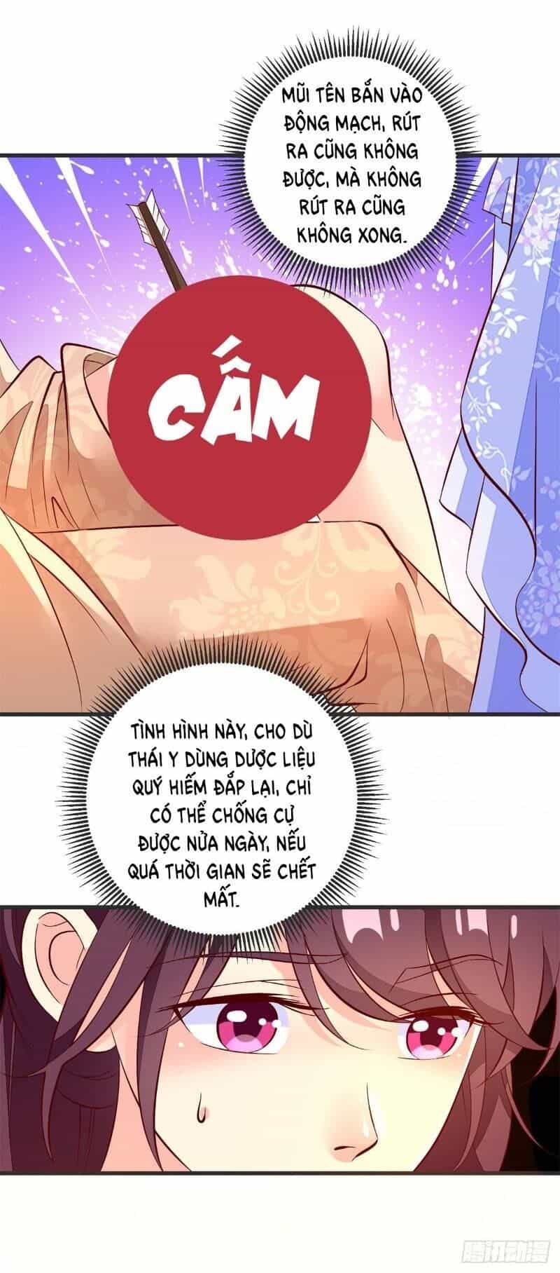 Đế Hoàng Chi Thần Y Khí Phi - Chương 40 - ảnh 13