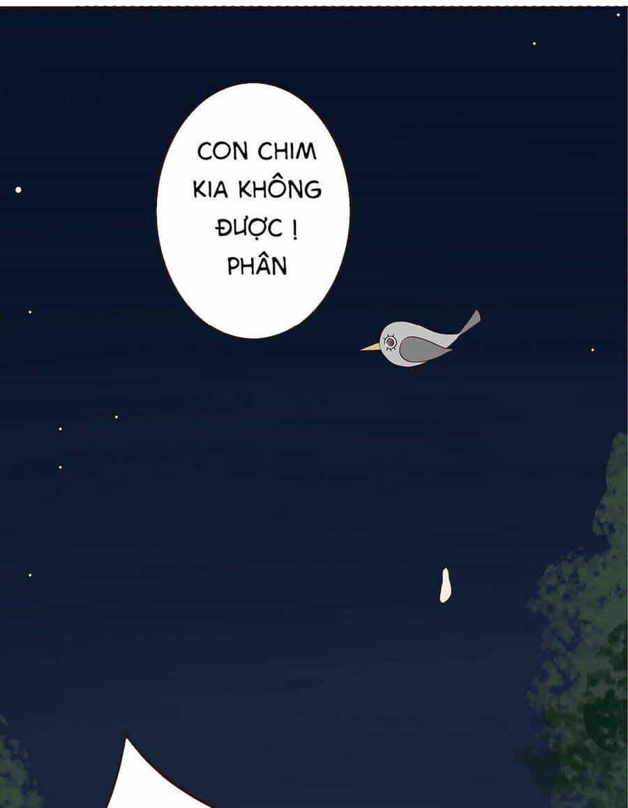 Đế Quân Không Biết Yêu - Chương 2 - ảnh 13