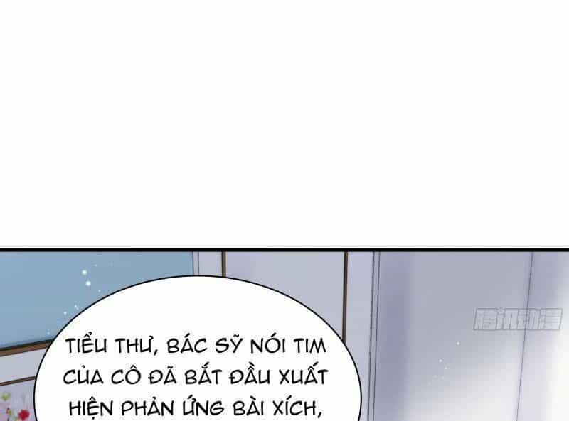Đế Thiếu Điềm Hôn: Vợ Yêu Trùng Sinh Không Ngoan Lắm - Chương 3 - ảnh 2