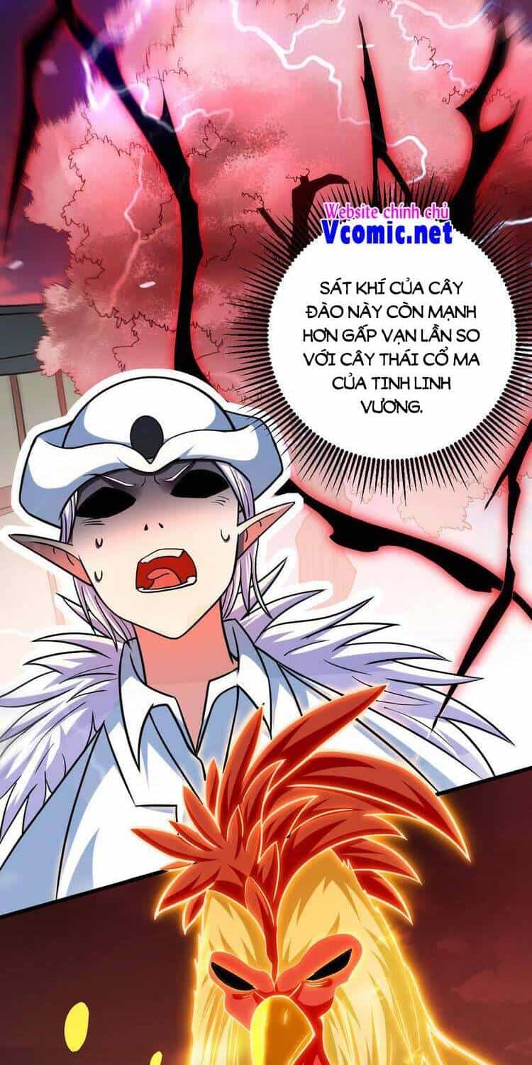 Đệ Tử Của Ta Đều Là Súp Bờ Thần - Chương 164 - ảnh 23