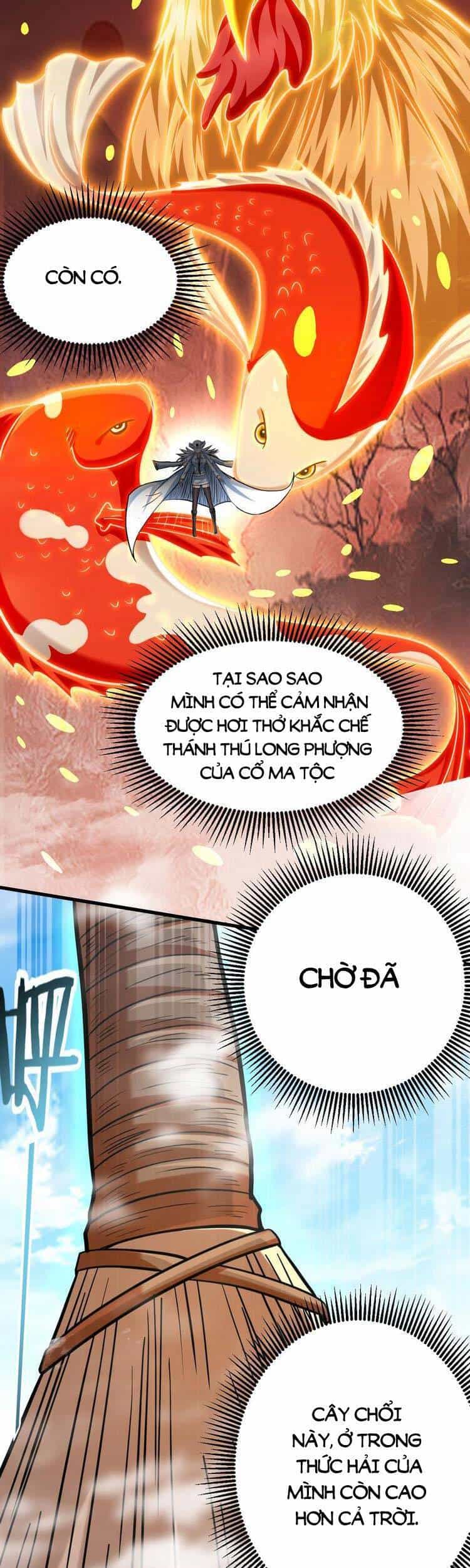 Đệ Tử Của Ta Đều Là Súp Bờ Thần - Chương 164 - ảnh 24