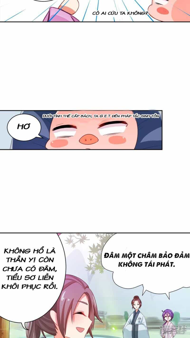 Đệ Tử Của Ta Là Heo - Chương 1.5 - ảnh 3