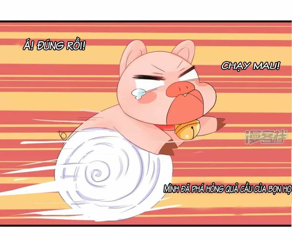 Đệ Tử Của Ta Là Heo - Chương 3 - ảnh 25