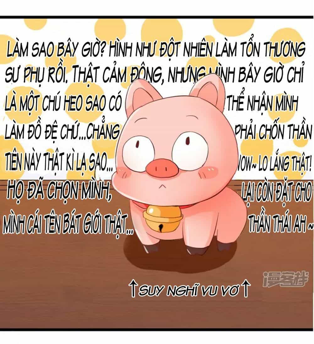 Đệ Tử Của Ta Là Heo - Chương 4 - ảnh 12