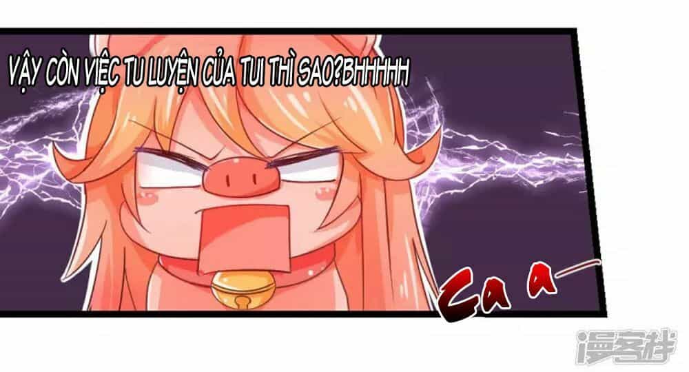 Đệ Tử Của Ta Là Heo - Chương 5 - ảnh 24