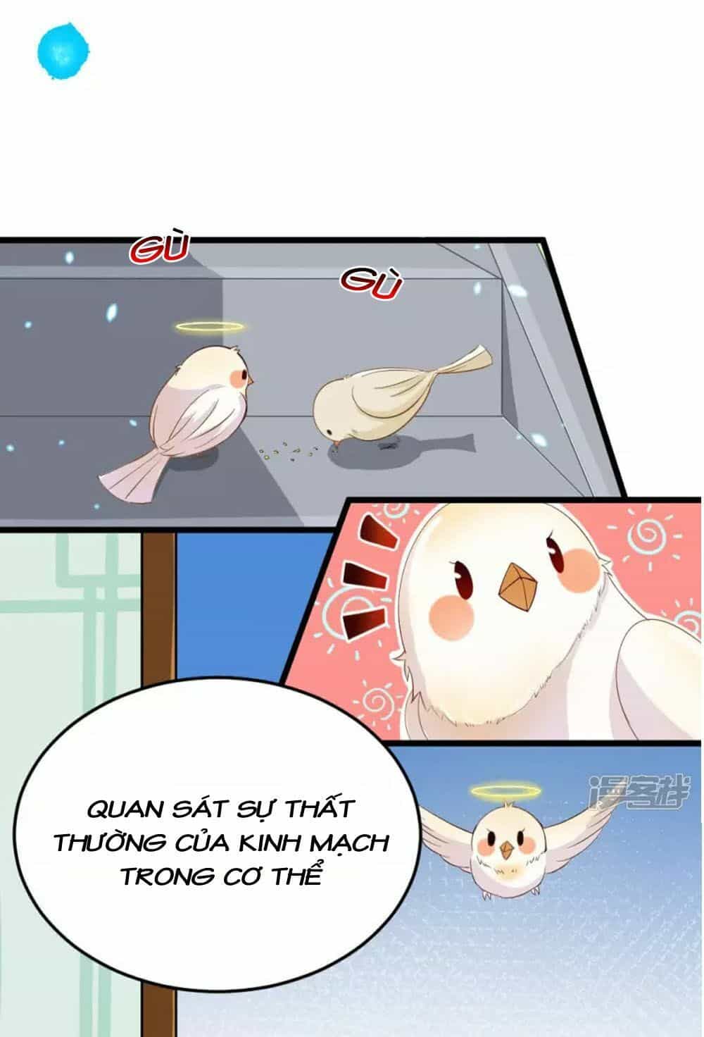 Đệ Tử Của Ta Là Heo - Chương 5 - ảnh 9