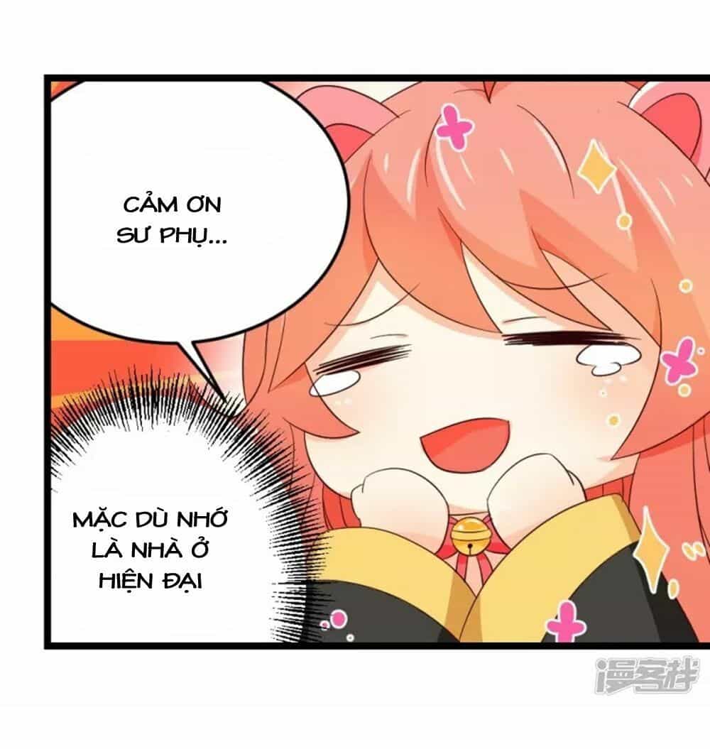 Đệ Tử Của Ta Là Heo - Chương 7 - ảnh 37
